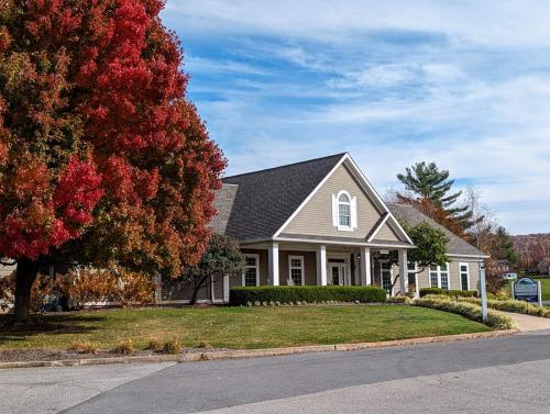 PXL 20221028 183044862 2