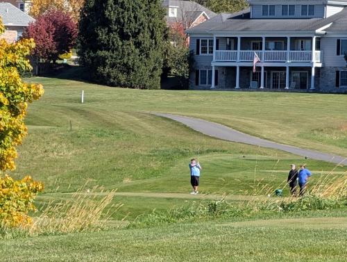 PXL 20241024 163524153