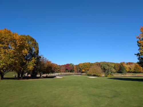 PXL 20241024 200418128