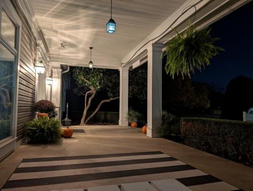 PXL 20241024 230922132