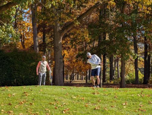 PXL 20241025 184559792