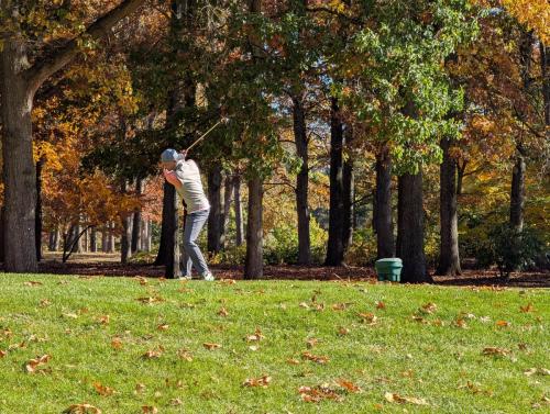 PXL 20241025 184637998