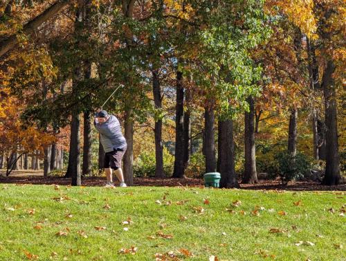 PXL 20241025 184721330