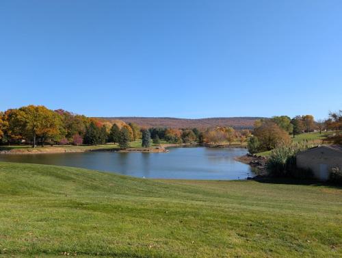 PXL 20241025 185446681