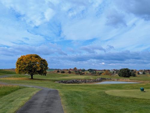 PXL 20241026 1429021892