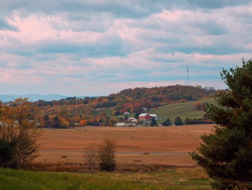 PXL 20241026 1511491863