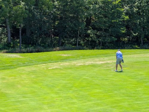 PXL 20250810 182310632